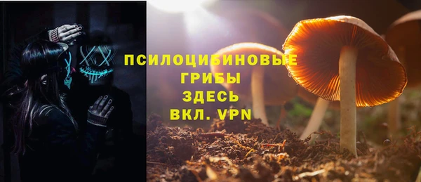 2c-b Липки