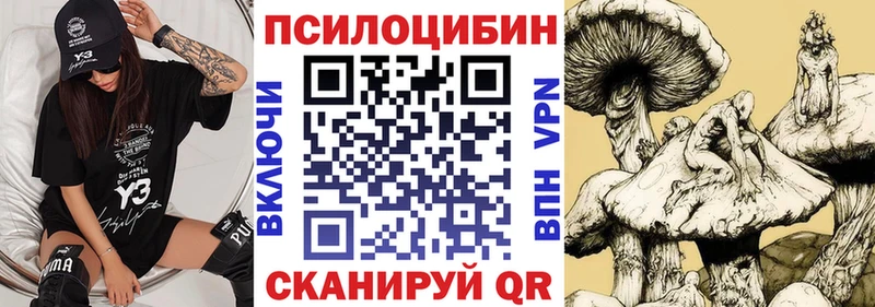 Галлюциногенные грибы GOLDEN TEACHER Полесск